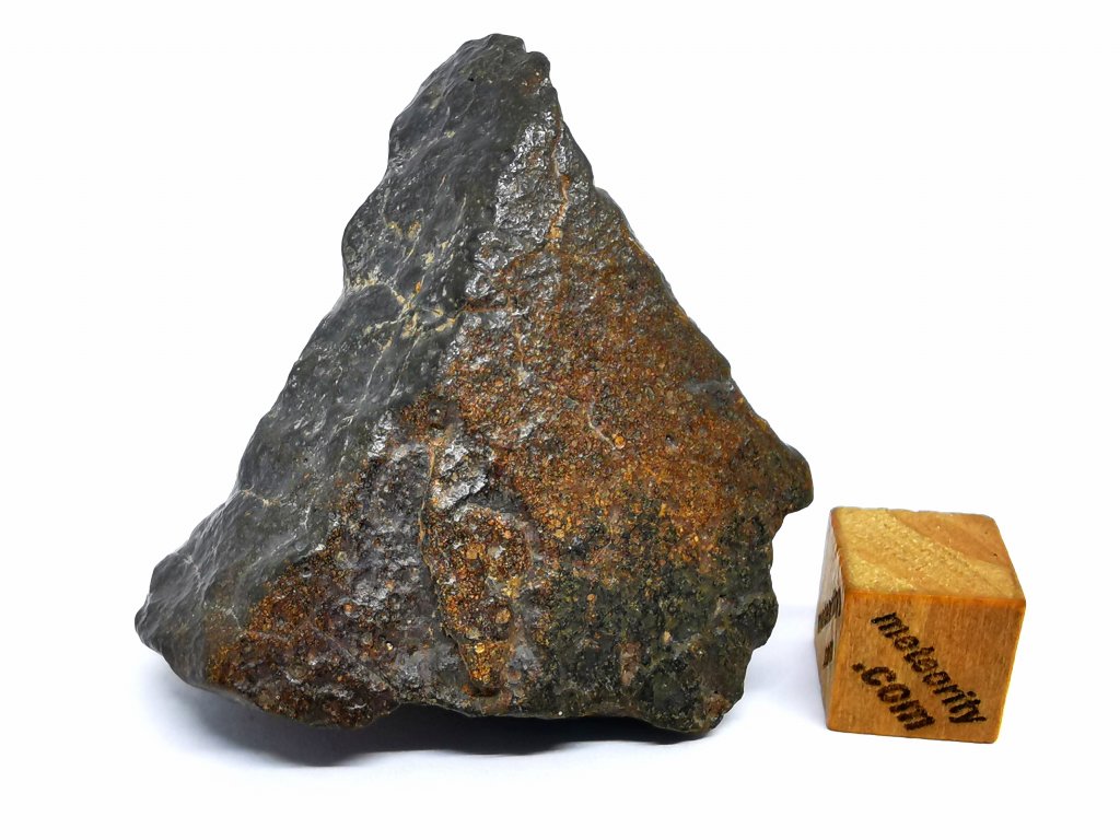 Meteorit NWA 16415 (CO3) / 30,7 gr.
