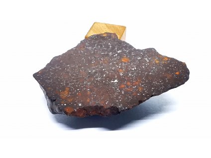 Meteorit NWA X 12,7g / koncový řez