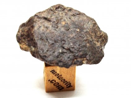 Meteorit NWA 869 / 15,2 gr.