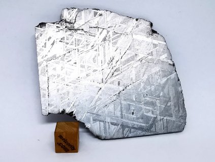 Meteorit Muonionalusta 54,6 gr. / řez