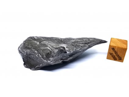 Meteorit Sikhote-Alin  64,3g