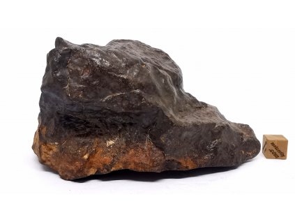 Meteorit NWA X 590 gr.