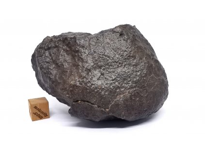 Meteorit NWA X 276 gr.