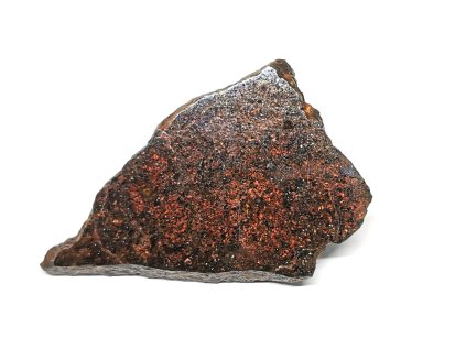 Meteorit NWA X 12,3g / řez