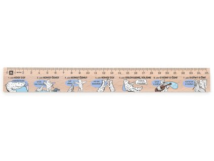 Dřevěné pravítko 25 cm s potiskem Mluvnické pády