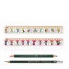 Školní sada: 2 pravítka 25 cm s potiskem Matematika, 2 tužky Faber Castell