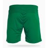 Futbalové šortky FORTALEZA zelené - Zelená, (Farba Zelená, Veľkosť 3XS)