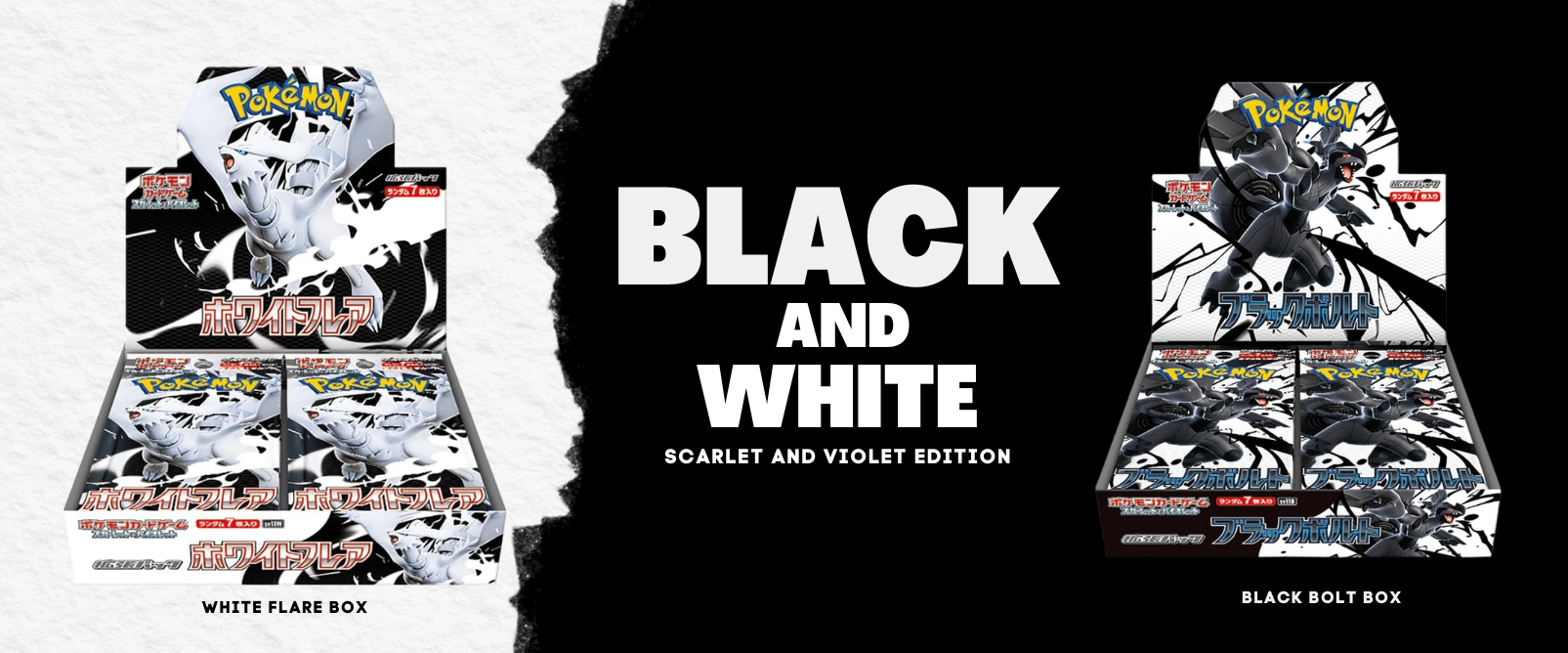 Black and white, scarlet and violet, White Flare Box, Black Bolt Box