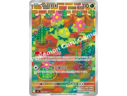 Maractus (sv9 101)