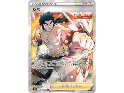 Pokemon Bruno (s5I 79) | mewtwo.eu