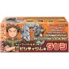 Pokemon Trainer Battle Deck: Brock of Nibi City Gym | mewtwo.eu