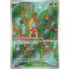 Shuckle (m1S 064)