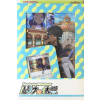Trainer card collection Nessa's Holiday
