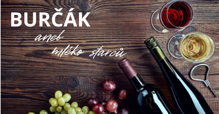 VŠE, CO POTŘEBUJETE VĚDĚT O BURČÁKU