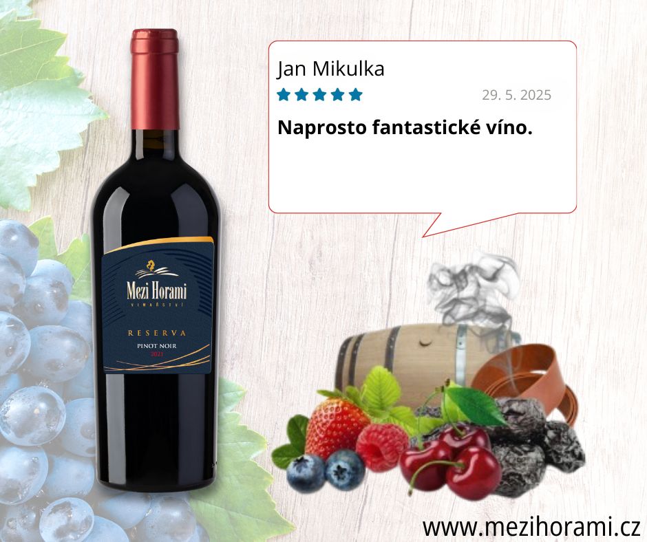 PROČ SI VYBRAT VÍNA Z MORAVY?