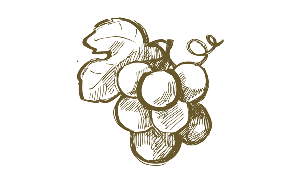 CRAFT