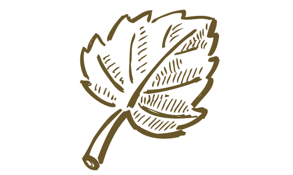 ORGANIC_2