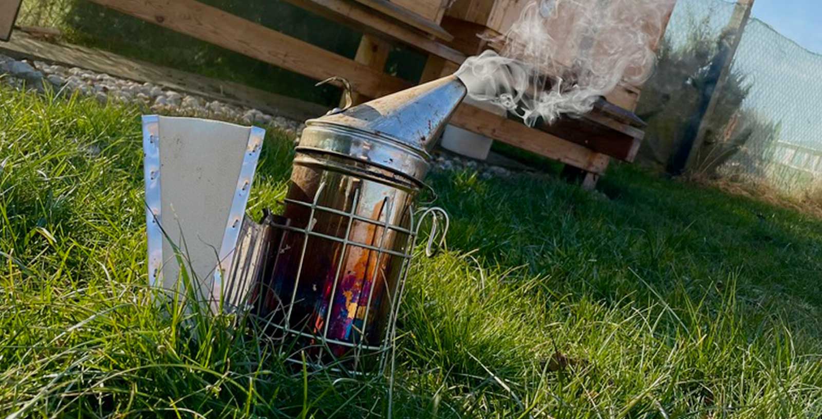 První jarní prohlídka