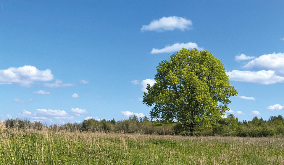 Červencová krajina