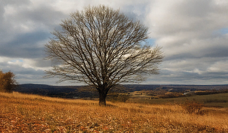 Listopadová krajina