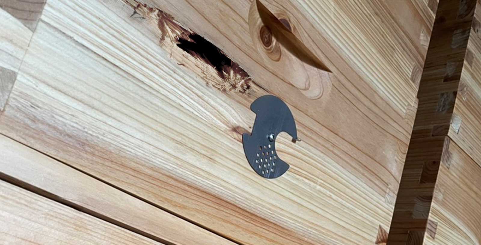 Úl poničený datlem – únor ve včelách