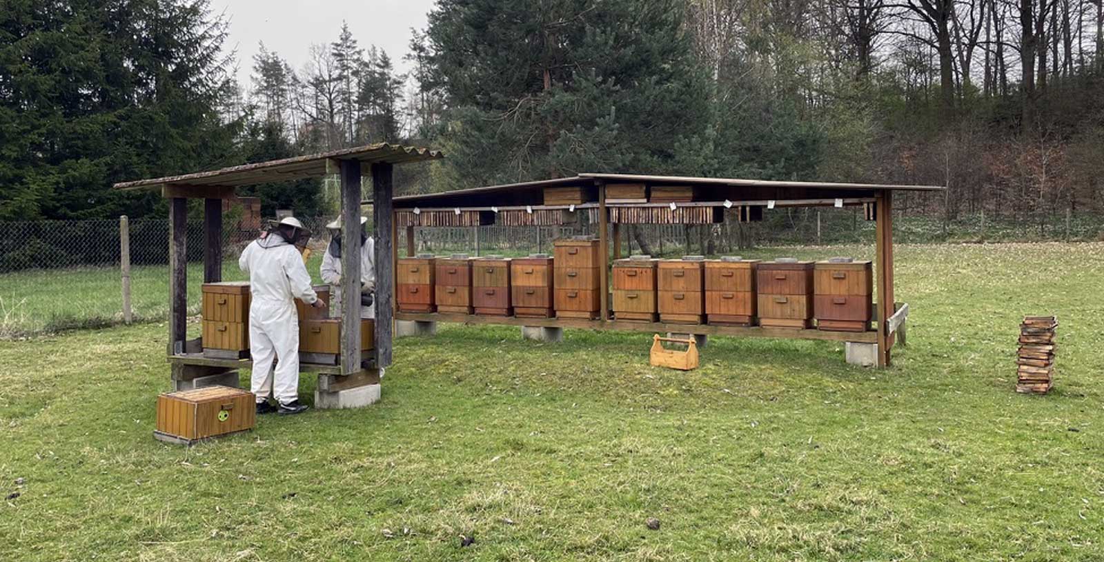 První jarní prohlídka