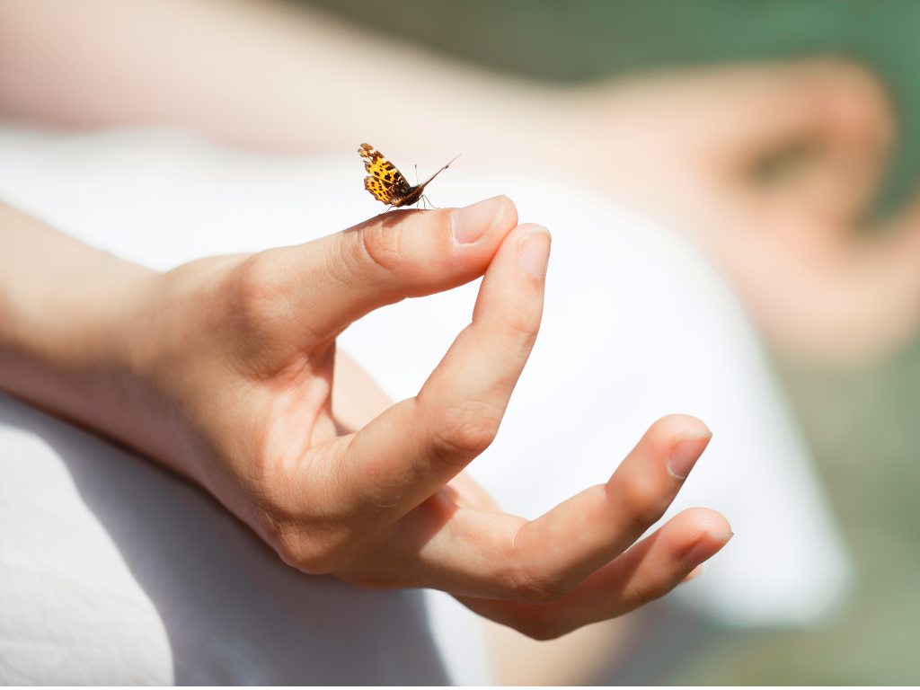 Mindfulness: Jak Najít Klid v Každodenním Shonu