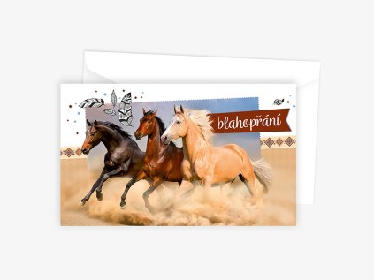 Blahopřání srdečné N 01-643