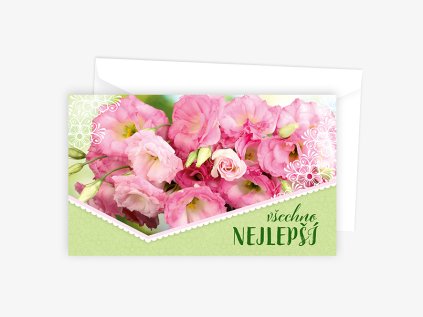 Blahopřání srdečné N 01-627