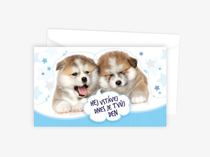 Blahopřání srdečné N 01-622