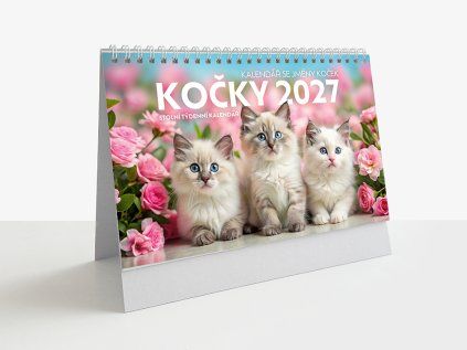 kal kocky