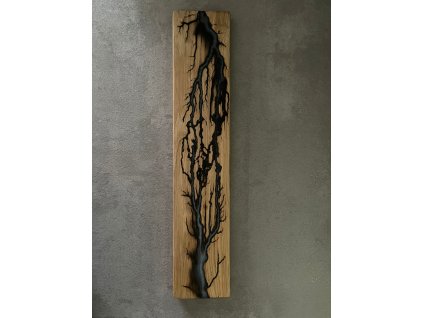 Dřevoliťák Svítící paprsky