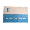 Vlajka v designu Spartak Žandov
