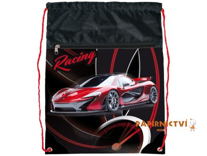 10878 y sacek na cvicky racing