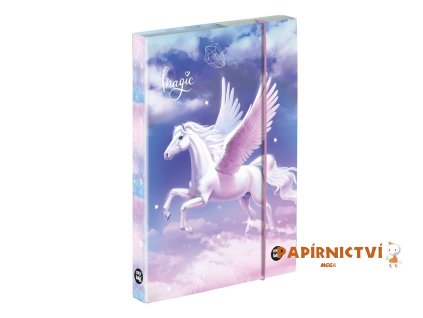 34188 box na sesity a4 pegas 8 79524