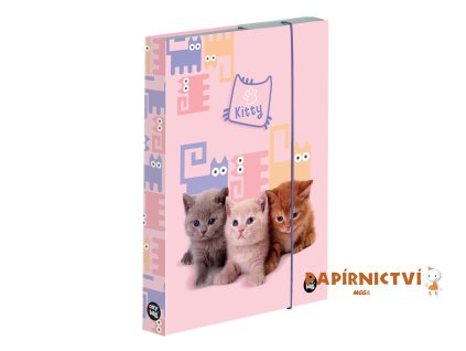 42782 box na sesity a4 mazlicci 5 69525