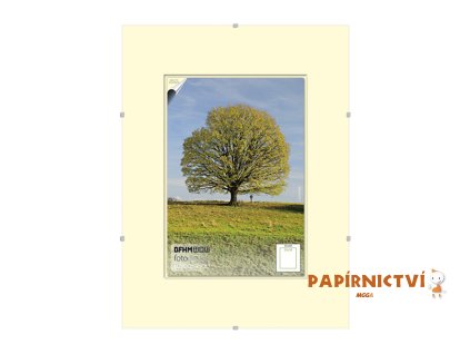 8097 kancelarske etikety 19x50 mm