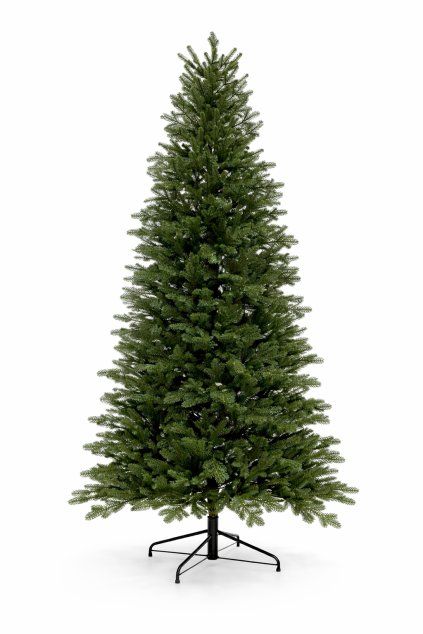 ChatGPT Image 6 лют. 2026 р., 14 05 53