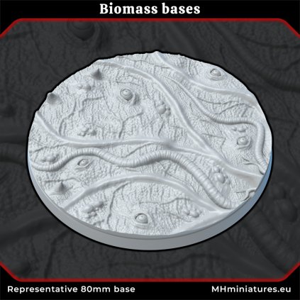 biomass bases