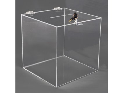 Box na losy a vizitky 200x200x200 mm, uzamykatelný
