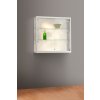 Nástěnná skleněná vitrína 1000x984x300 mm, boční LED osvětlení