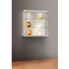 Nástěnná skleněná vitrína 1000x984x300 mm, boční a stropní LED osvětlení