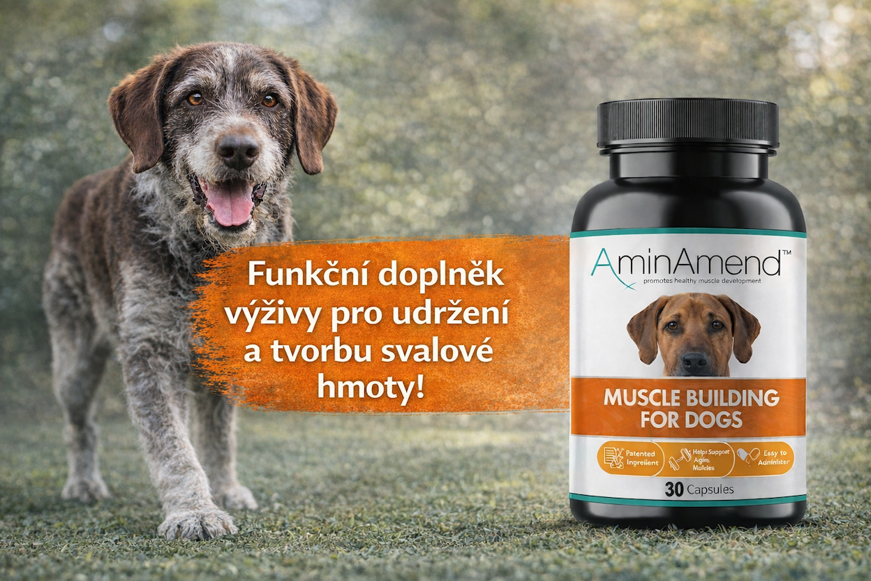 AminAmend: cílená podpora svalové hmoty u psů a koček
