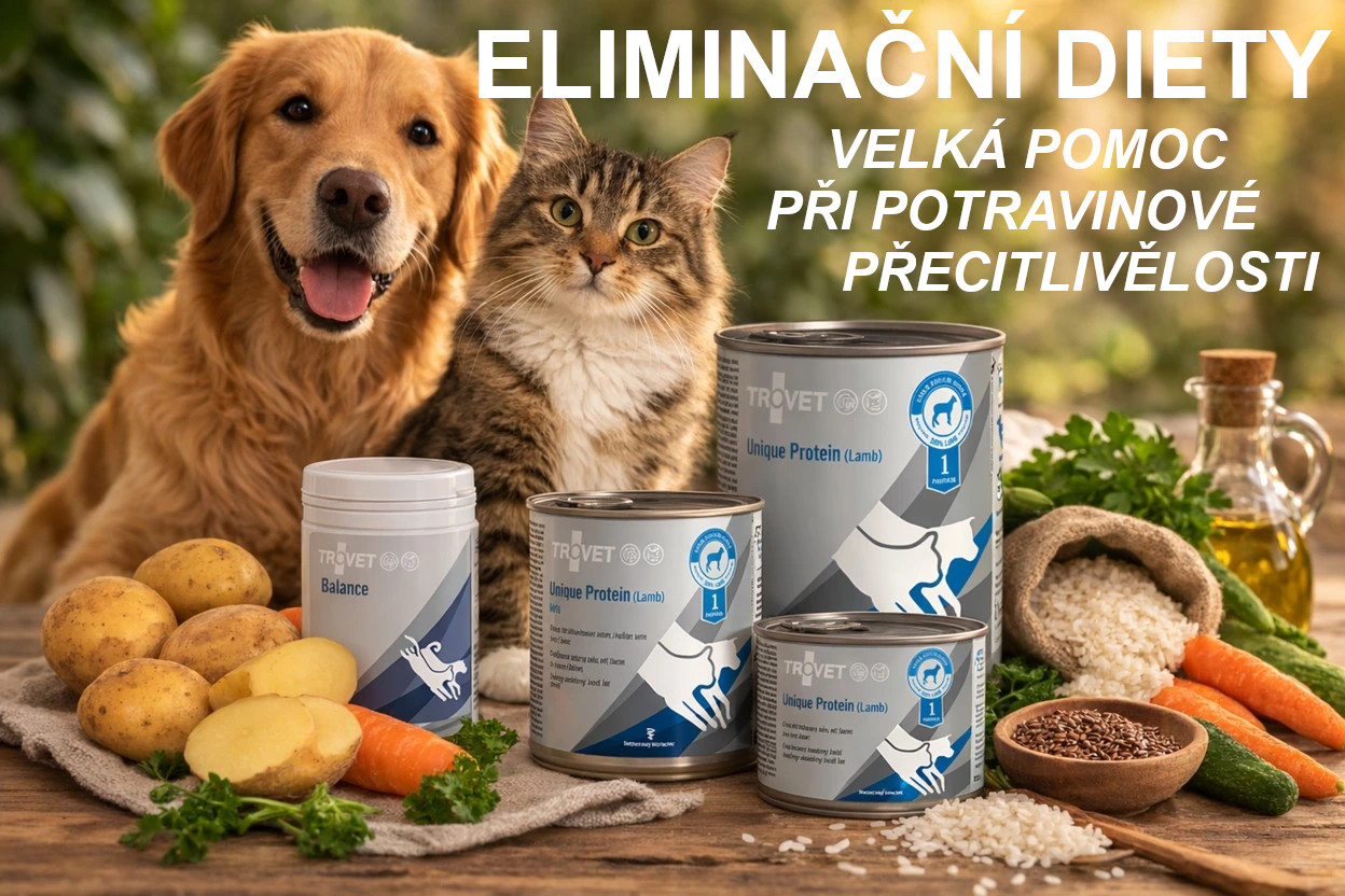 Eliminační diety pro alegriky