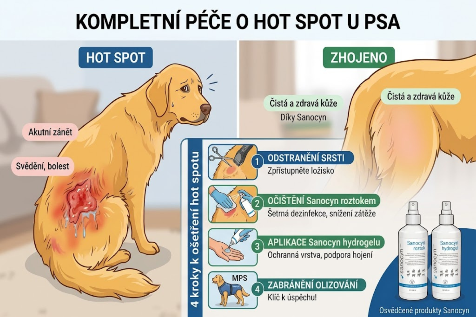 Péče o hot spot u psa