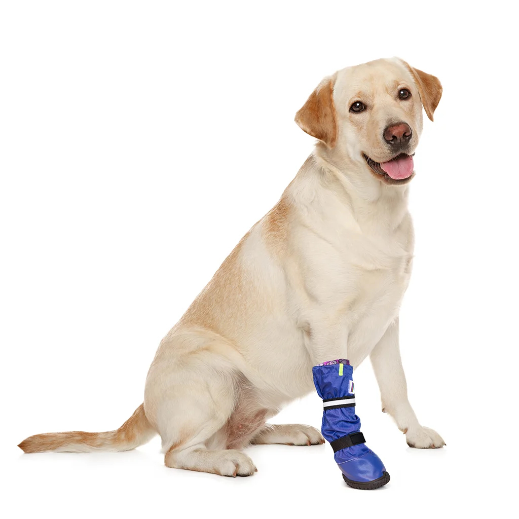 Ochranná botička MPS pro psy
