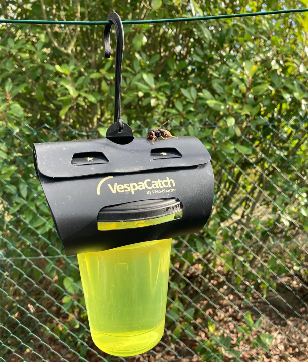 vespacath