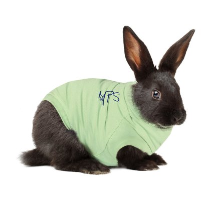 MPS PRODUCT WHITE BG MEDICAL PET SHIRT RABBIT GREEN 01 2020 V01