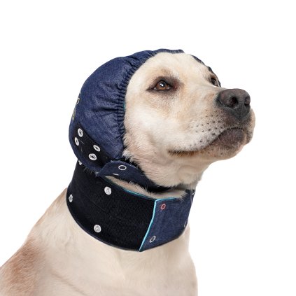 MPS PRODUCT WHITE BG HEADCOVER DOG DENIM BLUE 01 2020 V01