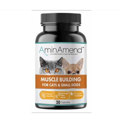 AminAmend 180mg na web